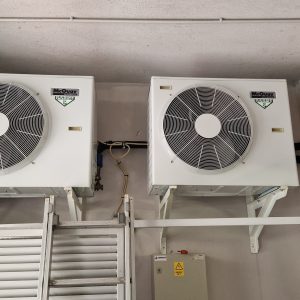 517993895_122127466388865836_2204036669344769437_n